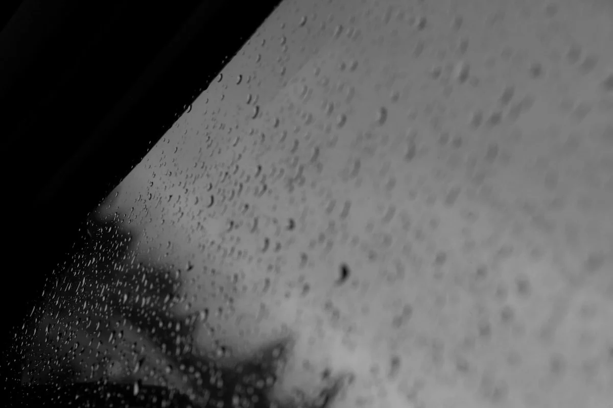 Perbedaan Fungsi Lampu Wash Beam dan Spot dalam Konser Musik