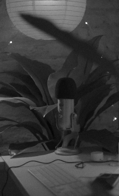 Panduan Memilih Mikrofon Terbaik untuk Pidato Penyanyi dan Alat Musik