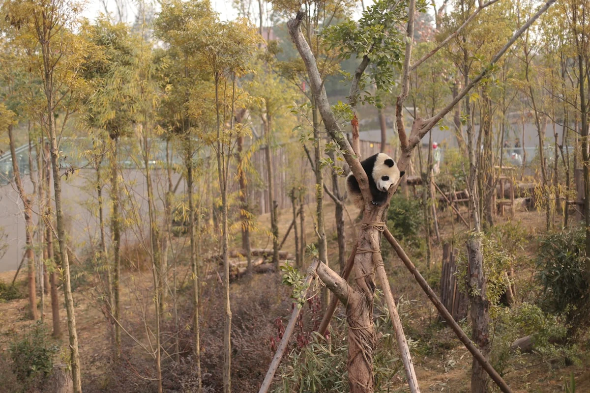 Menentukan Jenis Acara