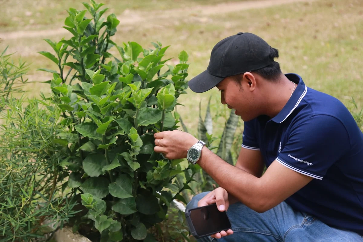 Pentingnya Desain Taman untuk Panggung Konser