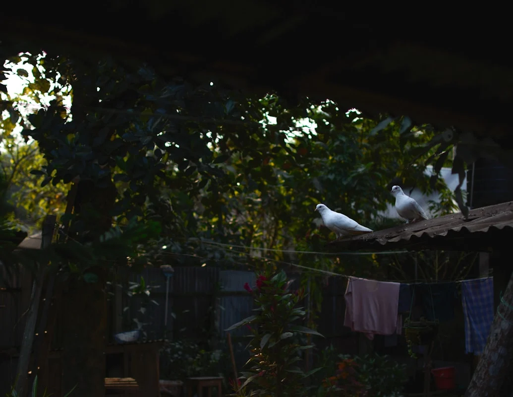 Menciptakan Suasana Rustic dengan Lampu Gantung Edison: Tren Terkini