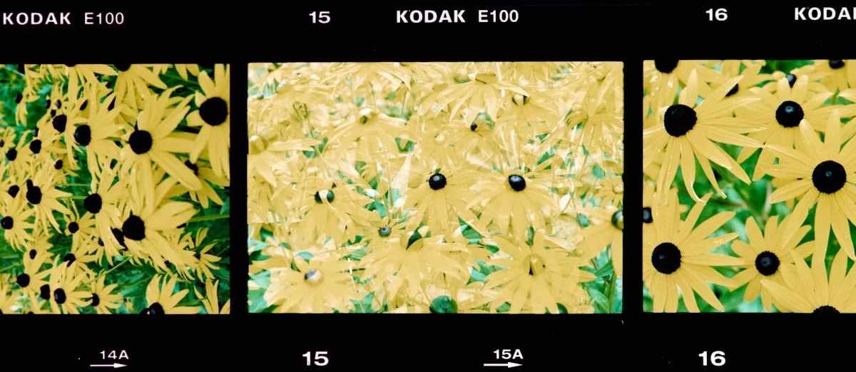 Manfaat Penggunaan VR dan AR di Booth Pameran