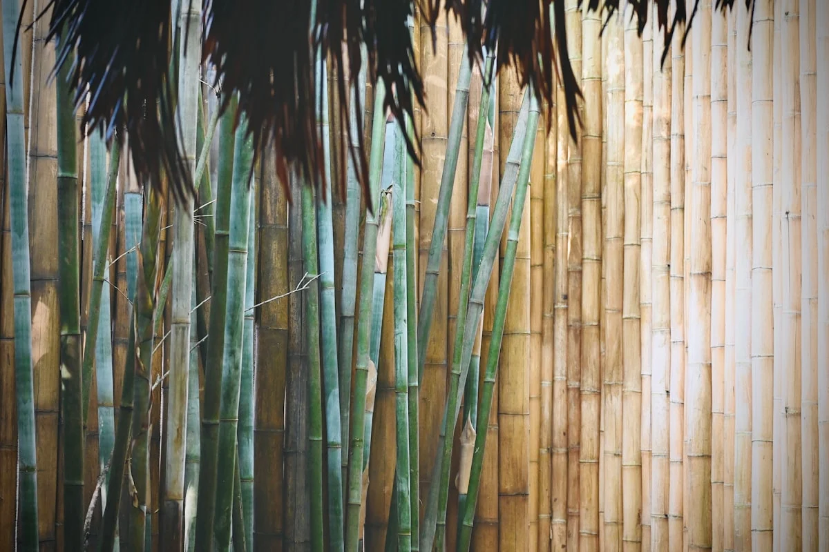 Panduan Kebutuhan Luas Area Minimal untuk Mini Garden di Lorong VIP