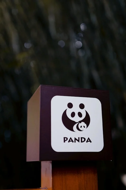 Panduan Lengkap: Tips Memilih Mic Wireless dengan Sinyal Stabil dan Anti Terputus