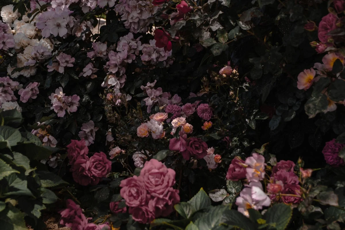 Pengantar Mini Garden Tema Rustic