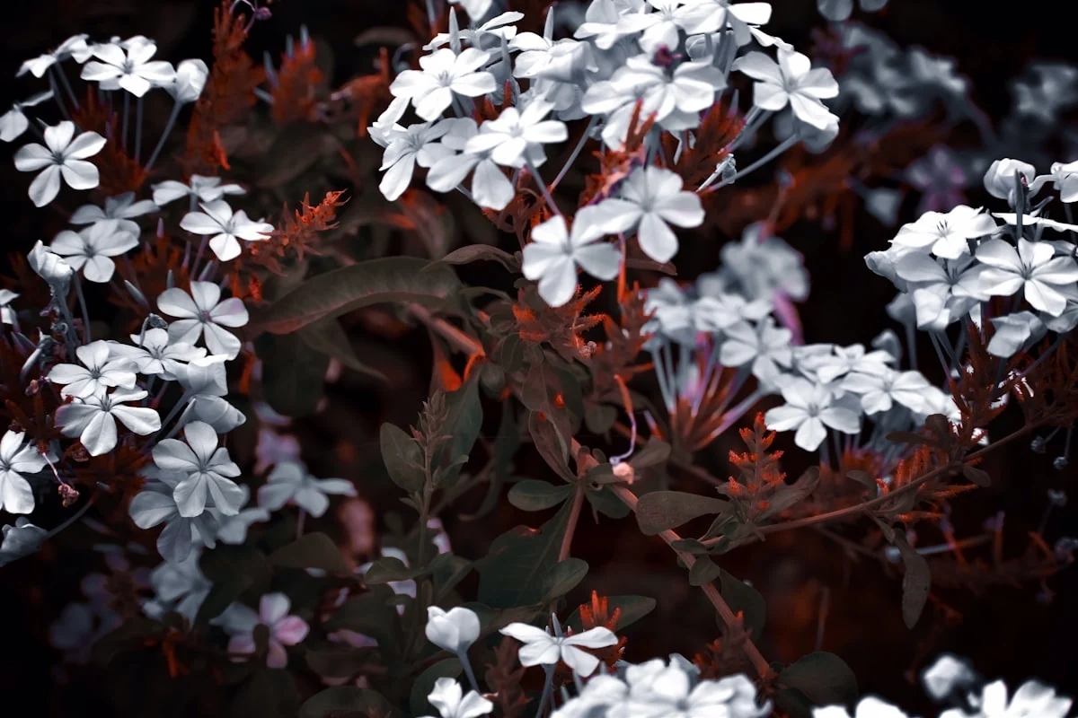 Keuntungan Menggunakan Bunga Hidup dalam Mini Garden