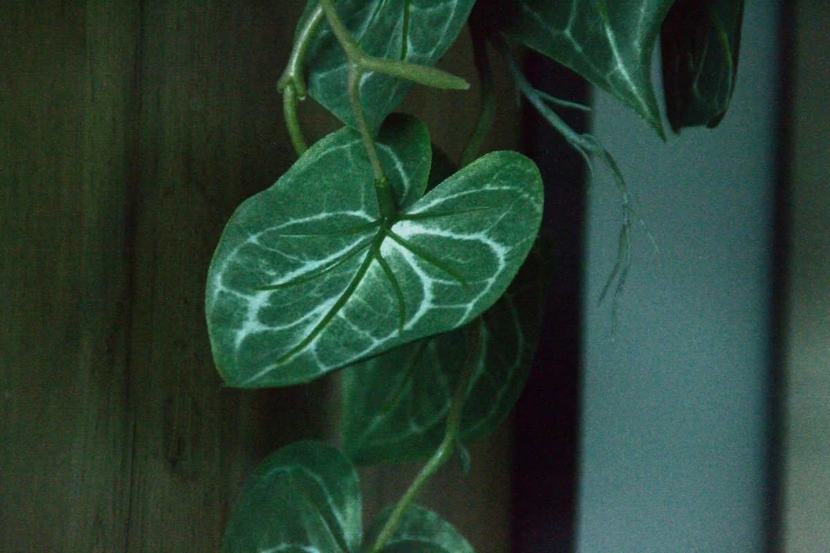 Pentingnya Menjaga Jalur Evakuasi