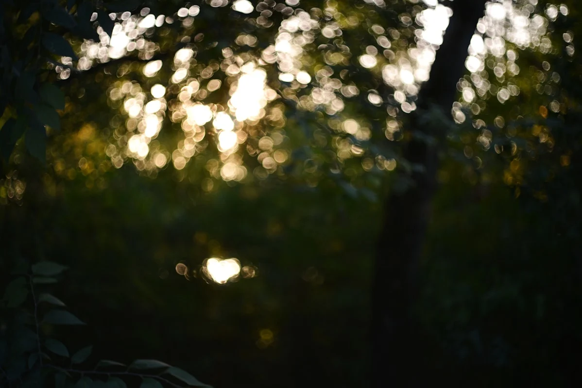 Material Tahan Cuaca untuk Backdrop