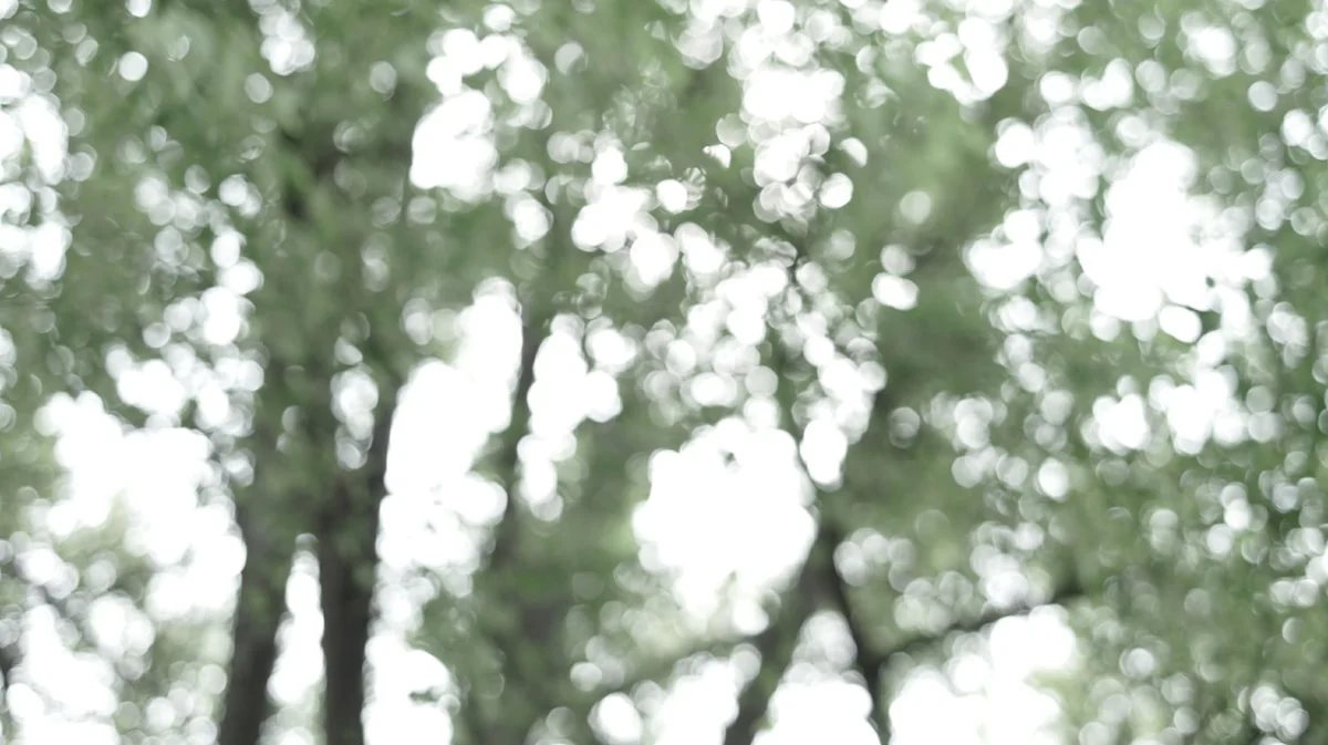 Desain Backdrop dengan Struktur Kokoh