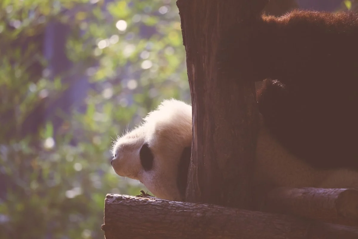 Panduan Cerdas: Tips Memilih Vendor Lighting dengan Kru Teknis Standby