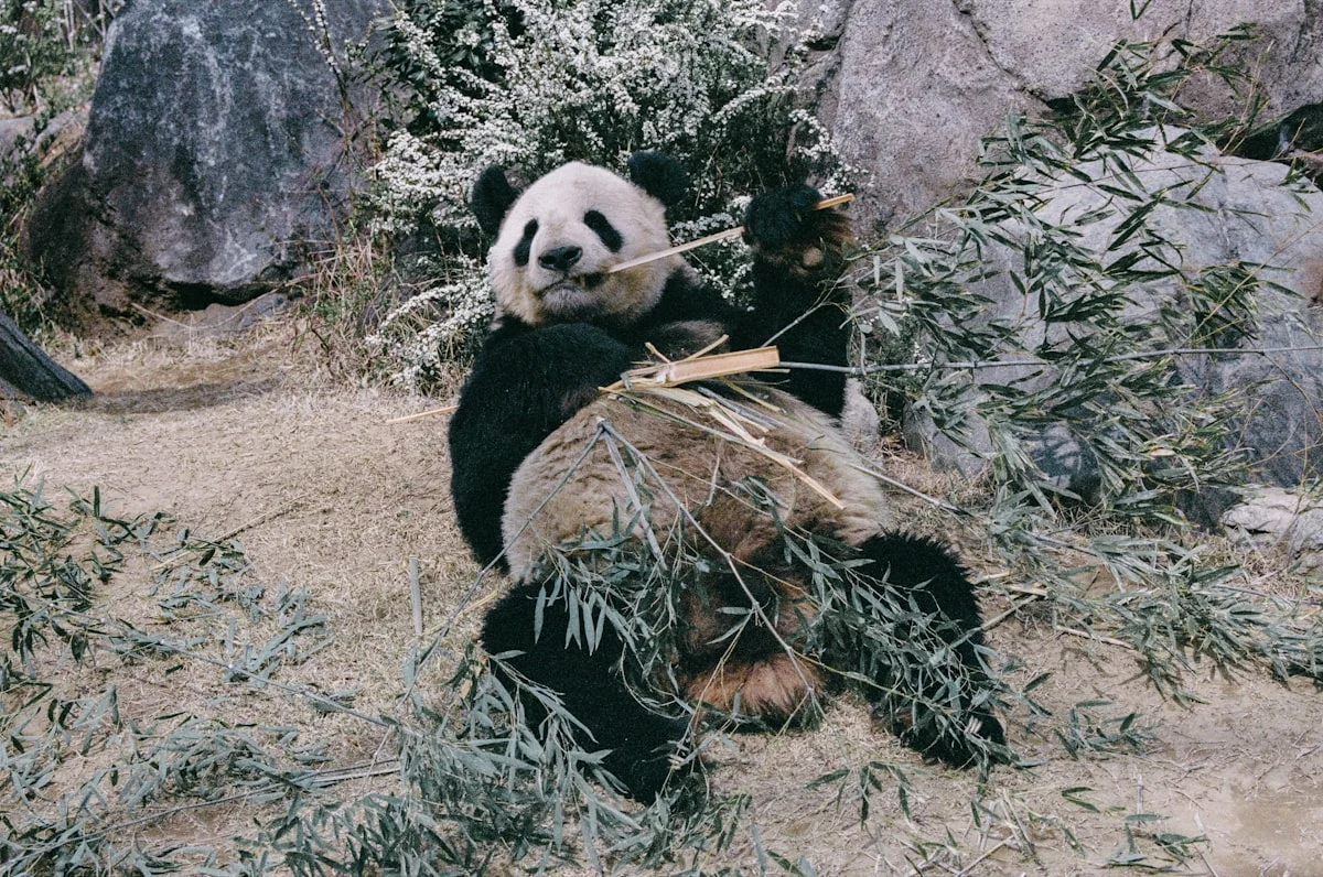 Mengapa Memilih Vendor Sound System yang Tepat?
