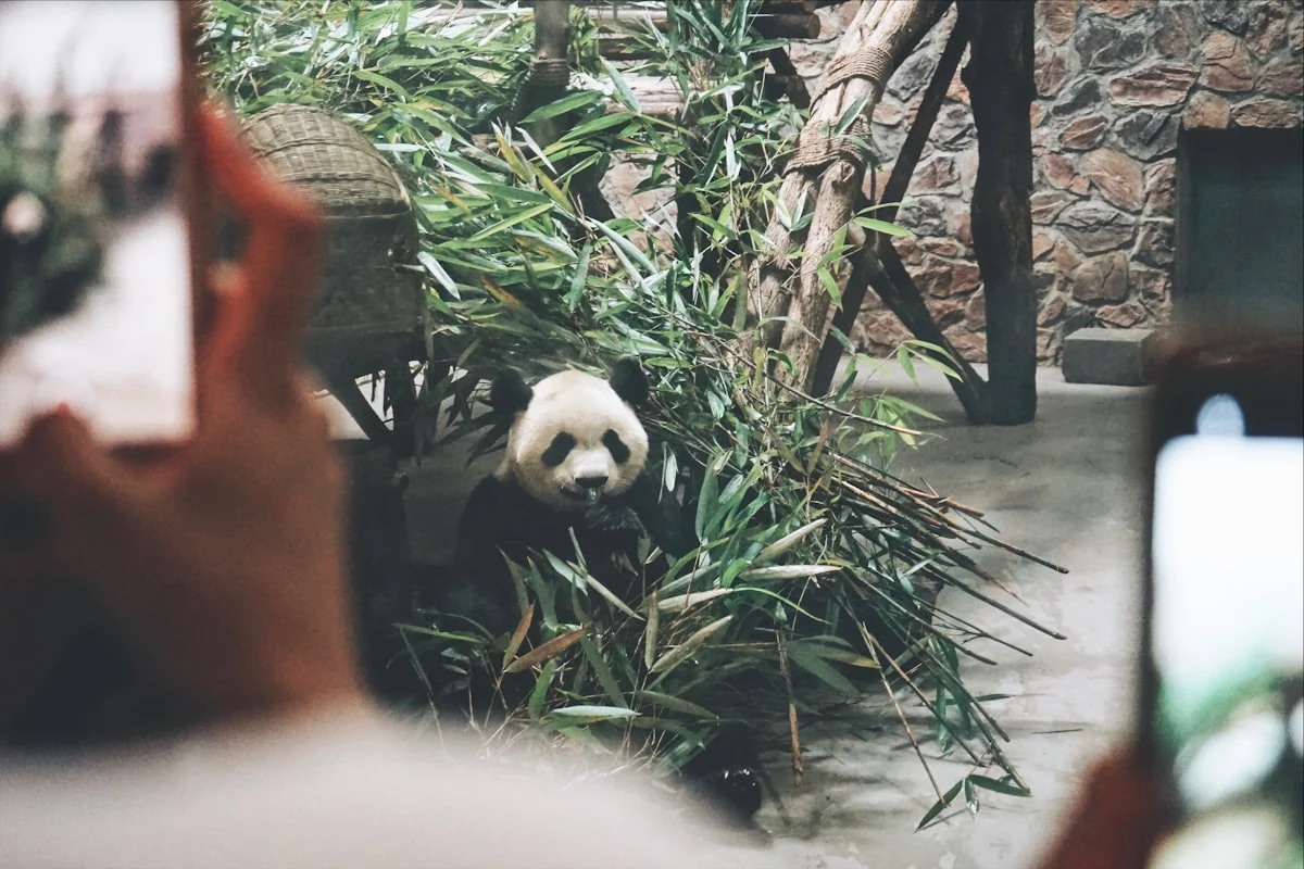 Faktor-Faktor yang Mempengaruhi Kebutuhan AC