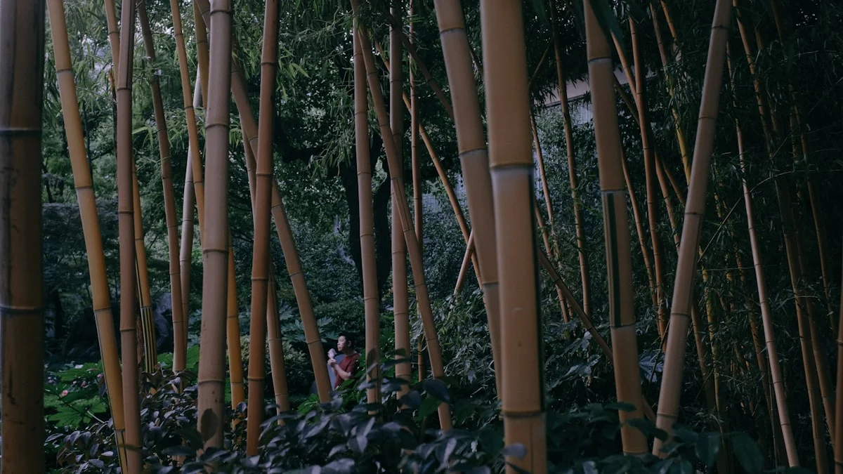 Pentingnya Sound System dalam Acara Lamaran dan Akad Nikah