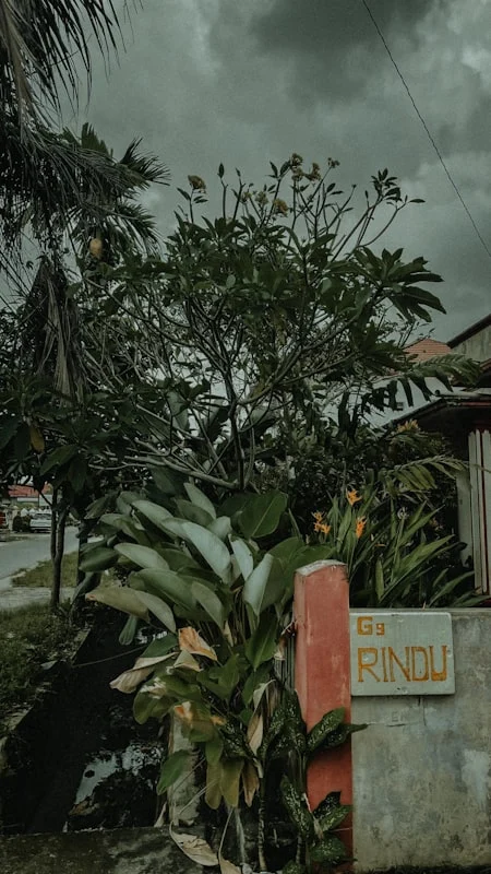 Pentingnya Sinkronisasi dalam Acara dan Pertunjukan